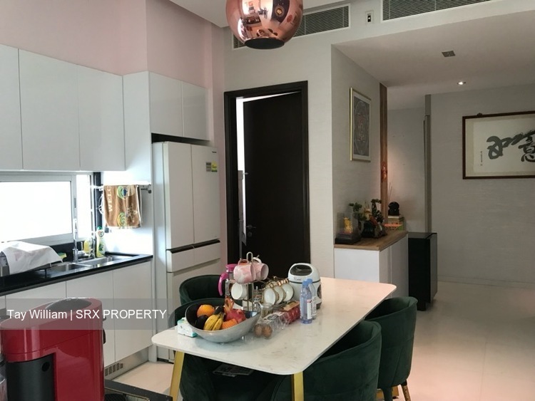 Kallang Riverside (D12), Apartment #501121121